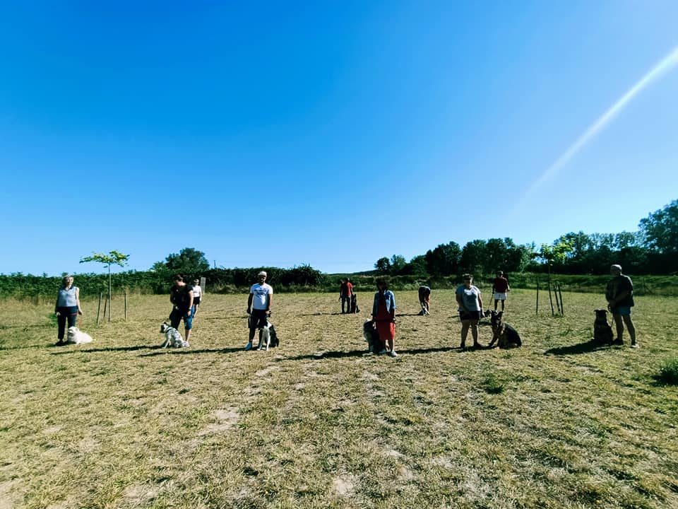 108077582_3023535697764524_5940652287519915762_n